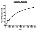 HER2, GST-Tag Recombinant – Figure 1 of 4