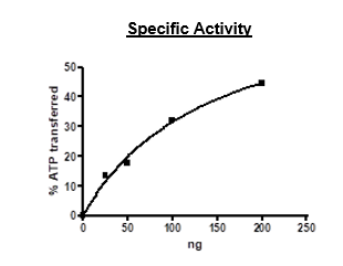 TRKB, GST-tag Recombinant – Figure 1 of 2