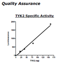 Tyk2, His-Tag Recombinant – Figure 1 of 4