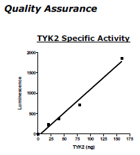 Tyk2, His-Tag Recombinant – Figure 1 of 4