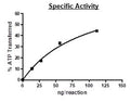 TYRO3, GST-tag Recombinant – Figure 1 of 2