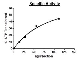 TYRO3, GST-tag Recombinant – Figure 1 of 2
