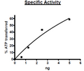 Casein Kinase 1α1 Recombinant – Figure 1 of 2
