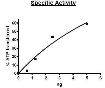 Casein Kinase 1α1 Recombinant – Figure 1 of 2