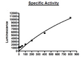 mTOR/Raptor/mLST8 Complex, FLAG-Tag, His-Tag (Human) Recombinant – Figure 1 of 3