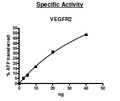 VEGFR2 (KDR), GST-Tag Recombinant – Figure 1 of 2