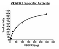 VEGFR3 (FLT4), GST-tag Recombinant – Figure 1 of 6