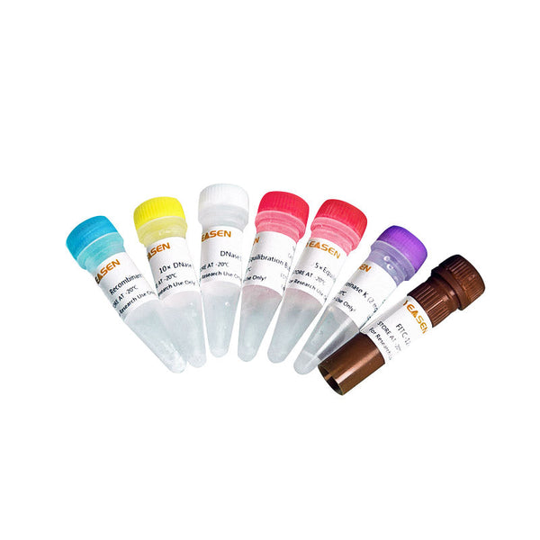 TUNEL Apoptosis Detection Kit (FITC) – Figure 1 of 1
