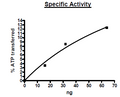 TTBK1, GST-Tag, His-Tag Recombinant – Figure 1 of 2
