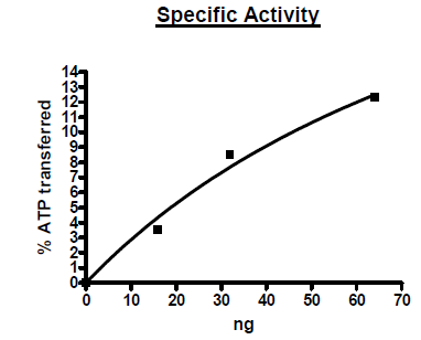 TTBK1, GST-Tag, His-Tag Recombinant – Figure 1 of 2