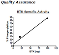 BTK, GST-His-Tag Recombinant – Figure 1 of 4