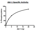 Abl Kinase Mutant (T315I), His-tag Recombinant – Figure 1 of 2