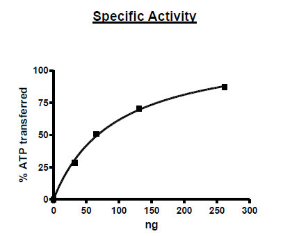 FYN, FLAG-Tag Recombinant – Figure 1 of 2