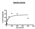 JAK1, GST-tag Recombinant – Figure 1 of 2