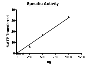 JAK2 (JH1, JH2 domain), His-GST-Tags Recombinant – Figure 1 of 5