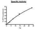 JAK3, His-tag Recombinant – Figure 1 of 2