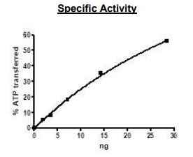 JAK3, His-tag Recombinant – Figure 1 of 2