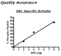 SRC, His-Tag Recombinant – Figure 1 of 3