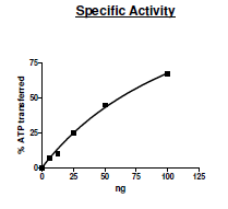Yes1, GST-tag Recombinant – Figure 1 of 2