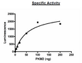 PKM1 (PKM2/Variant 2), His-Tag Recombinant – Figure 1 of 2