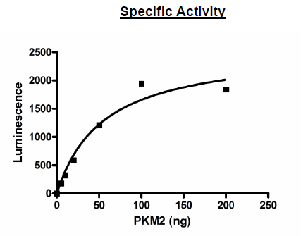 PKM1 (PKM2/Variant 2), His-Tag Recombinant – Figure 1 of 2
