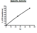 Ceramide Kinase, FLAG-tag Recombinant – Figure 1 of 2