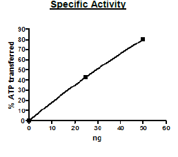 Ceramide Kinase, FLAG-tag Recombinant – Figure 1 of 2