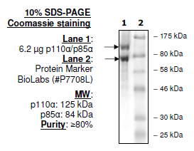 PI3 kinase (p110α/p85α) Recombinant – Figure 1 of 2