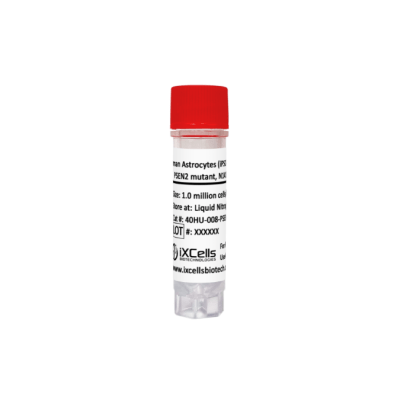 Human Astrocytes (iPSC- derived, PSEN2 mutant, N141I,HET)