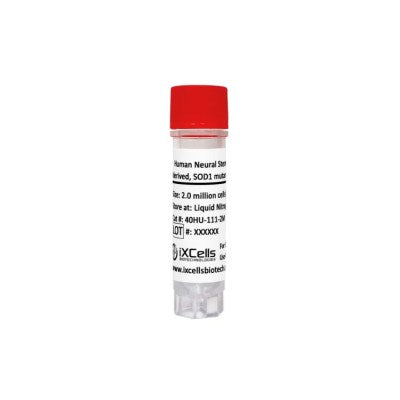 Human Neural Stem Cells (iPSC-derived, SOD1 mutant, A4V, HOM)
