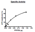 PFKFB4, His-tag Recombinant – Figure 1 of 2