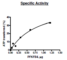PFKFB4, His-tag Recombinant – Figure 1 of 2