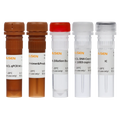 Replication-competent Lentivirus (RCL) Detection Kit – Figure 1 of 2