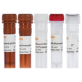 Plasmid DNA Residue Detection Kit – Figure 1 of 1