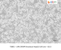 LIPA CRISPR Knockout HepG2 Cell Line – G5.3 – Figure 1 of 1