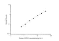 Uncoated Human LEPR (Leptin Receptor) ELISA Kit – Figure 1 of 4