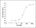 Recombinant Human XIAP/BIRC4 Protein (AVI Tag) – Figure 1 of 2