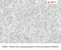 MSH2 Over-expressing Nalm-6 Cell Line (Nalm-6 MSH2+) | Applied Biological Materials (abm)