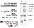 HDAC3/NcoR2, His-Tag, GST-Tag Recombinant – Figure 1 of 4