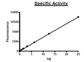 HDAC1, His-Tag, FLAG-Tag (Mouse) Recombinant – Figure 1 of 2