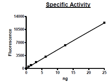 HDAC1, His-Tag, FLAG-Tag (Mouse) Recombinant – Figure 1 of 2
