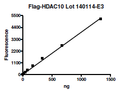 HDAC10, FLAG-tag Recombinant – Figure 1 of 4