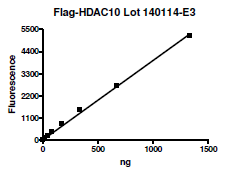 HDAC10, FLAG-tag Recombinant – Figure 1 of 4