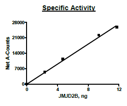 JMJD2B(KDM4B) , FLAG-tag Recombinant – Figure 1 of 2
