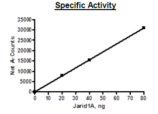 JARID1A (KDM5A), FLAG-tag Recombinant – Figure 1 of 4