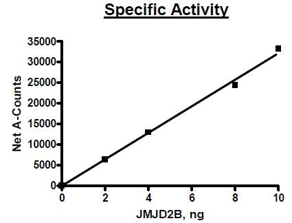 JMJD2B (KDM4B), GST-tag Recombinant – Figure 1 of 2