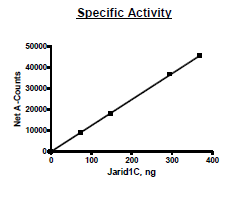 JARID1C(KDM5C), FLAG-tag Recombinant – Figure 1 of 2