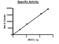 JMJD3 (KDM6B), FLAG-tag Recombinant – Figure 1 of 2