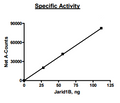 JARID1B (KDM5B, PLU-1), His-FLAG-tags Recombinant – Figure 1 of 2