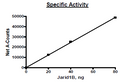 JARID1B (KDM5B), Full Length, FLAG-tag Recombinant – Figure 1 of 2